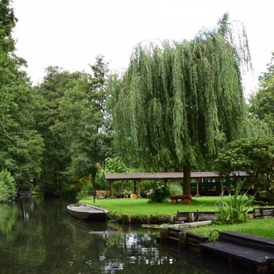 1788网投手机app下载